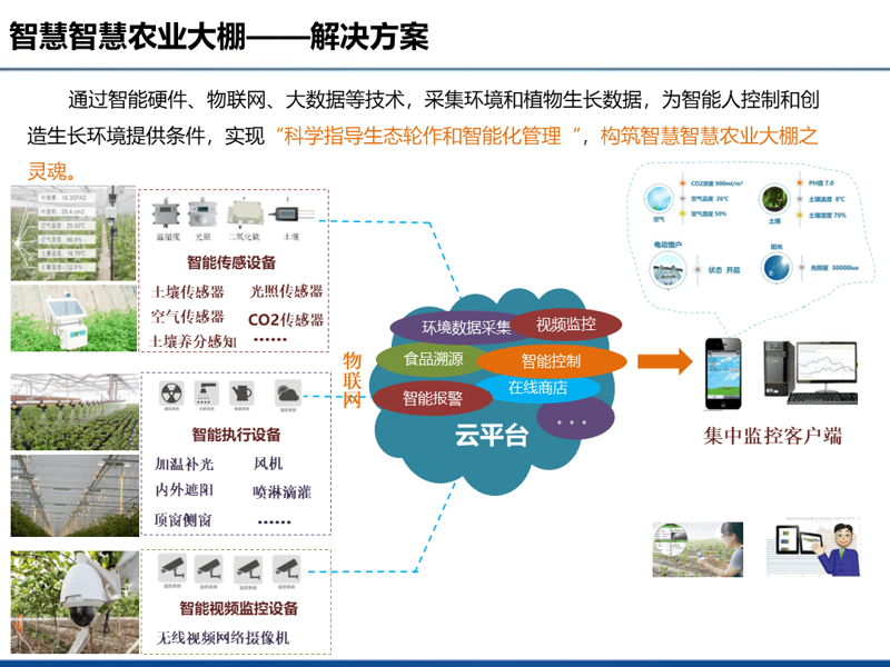 农业物联网：引领现代农业的智能未来